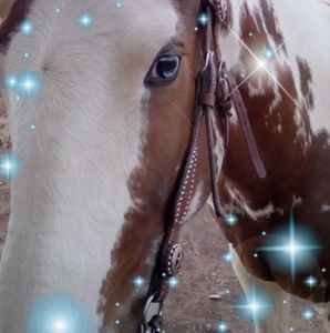 Meet your Posher, Jerick